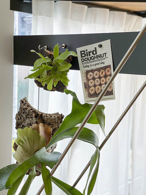 こんな風にも！