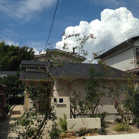 完成写真