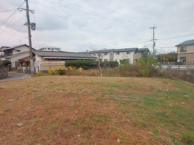 地縄張り